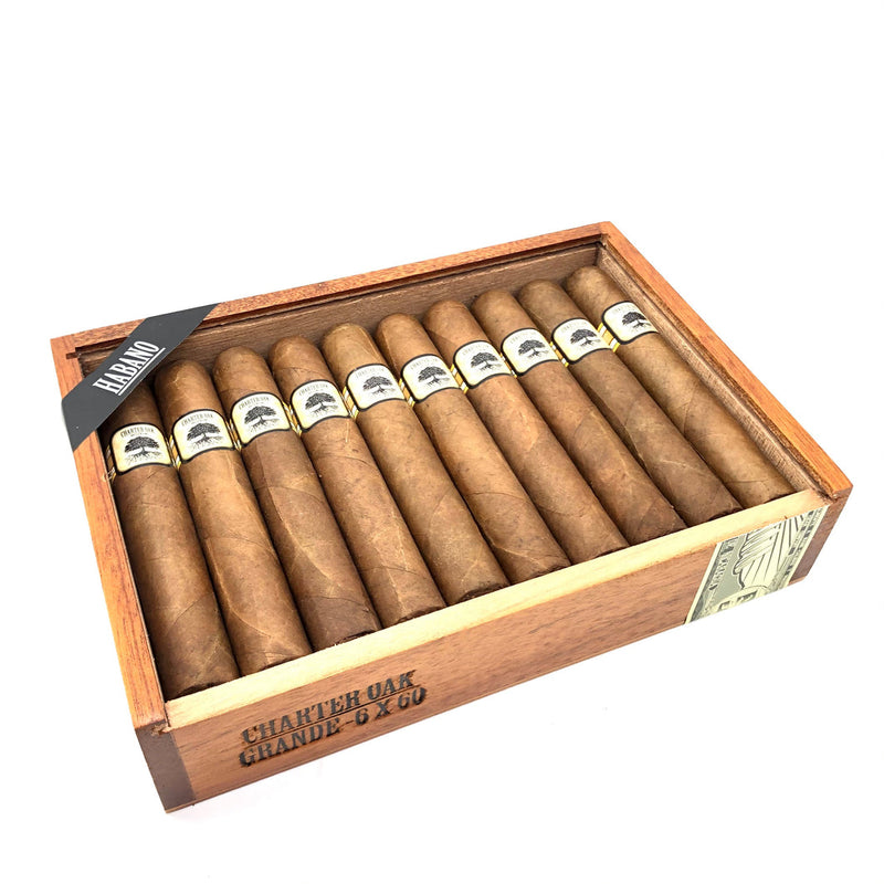 Foundation Cigars - Charter Oak Habano Grande (Box of 20)