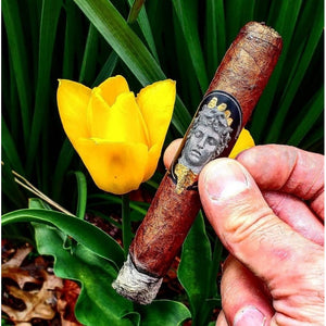 Alec Bradley Gatekeeper Robusto Box of 20)