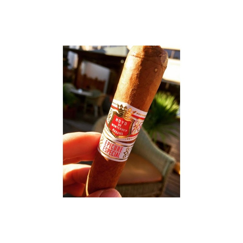 Hoyo de Monterrey - Epicure Especial (Box of 10)