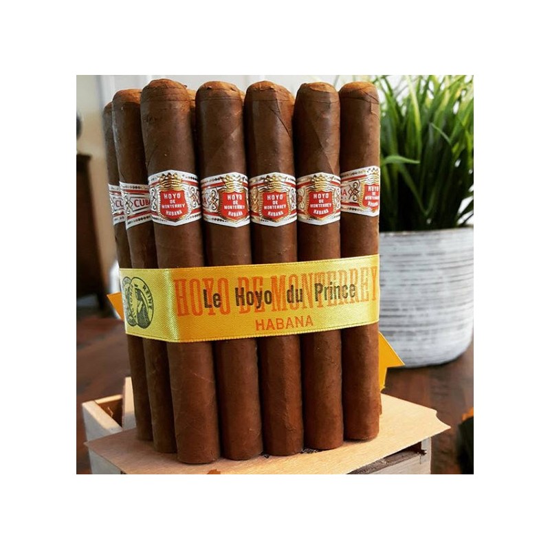 Hoyo de Monterrey - Le Hoyo Du Prince (Box of 25)